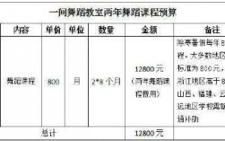 小学舞蹈教室预算（小学舞蹈教室预算表）