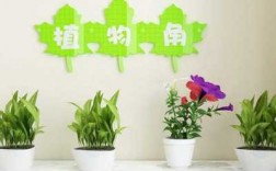 植物教室装饰图片（植物教具图片大全）