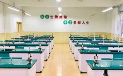 实验教室图片（实验室实验图片）