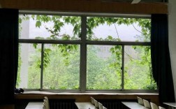教室窗户怎么写（教室窗户素材）