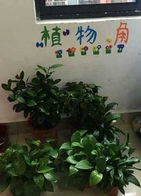 用植物名称取教室名字（用植物名称取教室名字怎么取）-图1