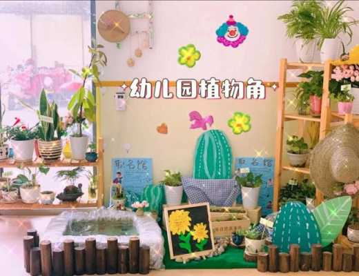 幼儿园教室植物角图片（幼儿园室内植物角布置）-图3