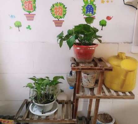 教室植物角落命名（教室植物角落命名图片）-图2