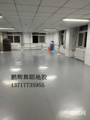 舞蹈教室地面（舞蹈教室地面施工工艺）-图3