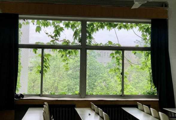 教室窗户怎么写（教室窗户素材）-图1